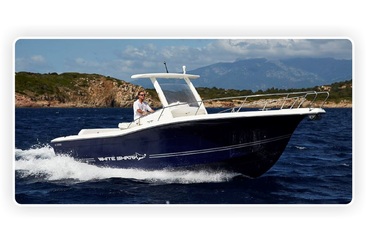 White Shark 296CC power boats for sale